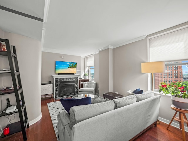 living room with crown molding, a fireplace, and dark wood-type flooring