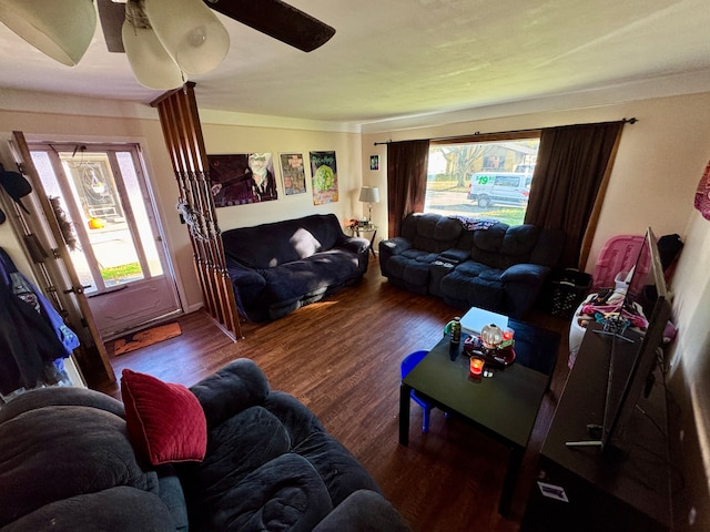 living room featuring wood-type flooring, ceiling fan, and a healthy amount of sunlight