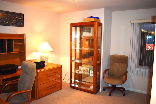 office space featuring light colored carpet