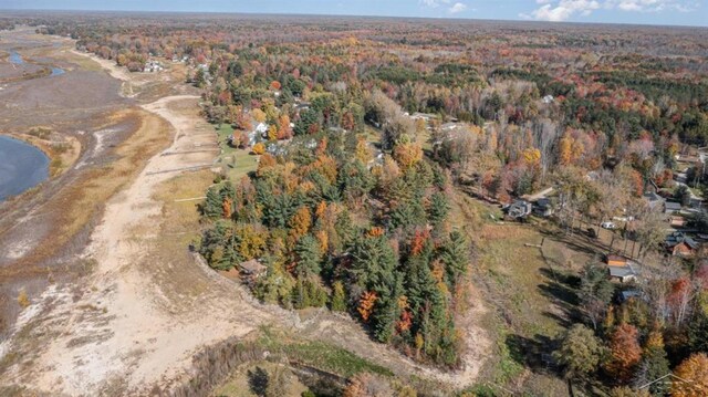 5242 Ostlund Dr, Hope, MI 48628 - photo 22