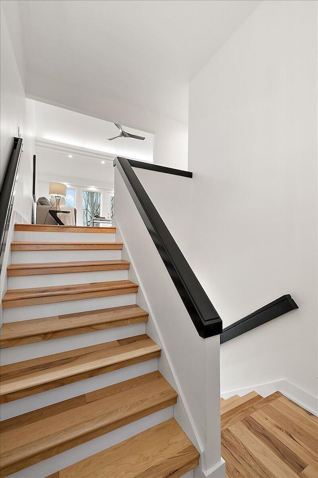 staircase with hardwood / wood-style flooring