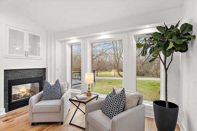 interior space with light hardwood / wood-style flooring and plenty of natural light