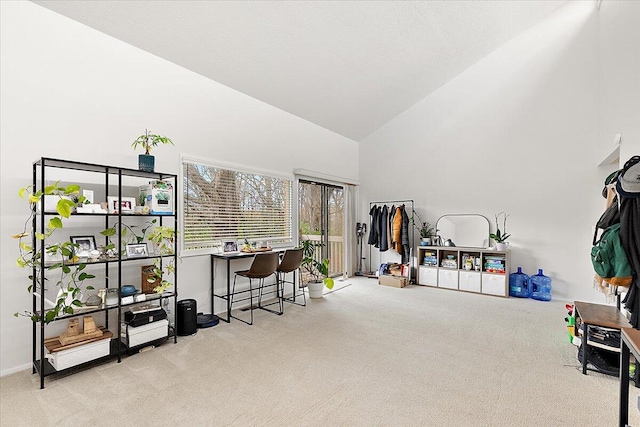 miscellaneous room featuring light carpet and high vaulted ceiling