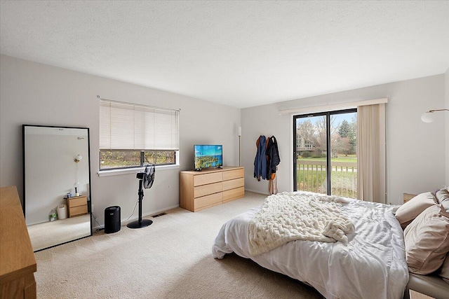 bedroom with access to exterior, light colored carpet, a textured ceiling, and multiple windows