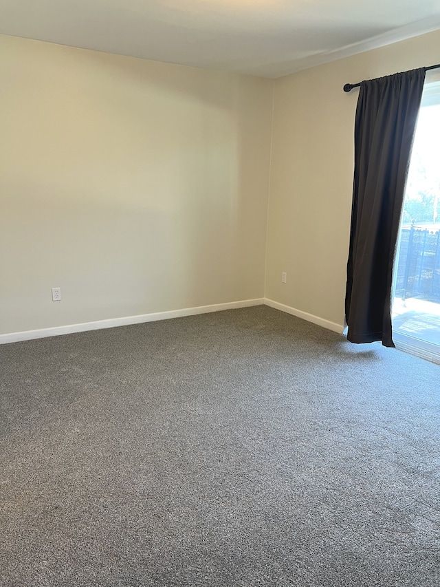 empty room featuring carpet floors