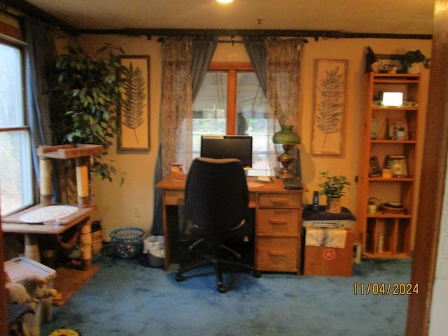 view of carpeted office space