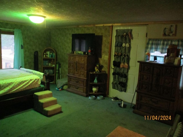 bedroom with a closet and carpet