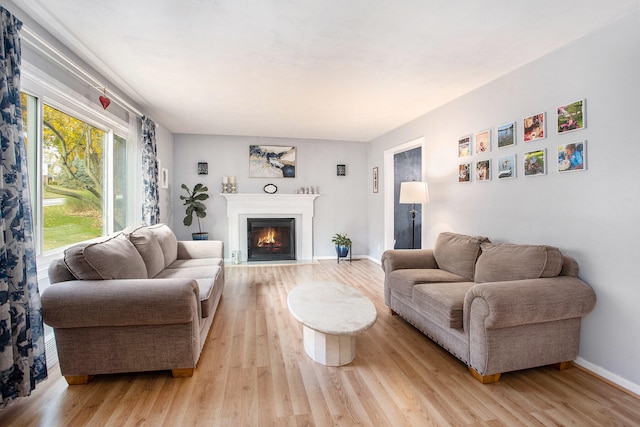 living room featuring light wood-type flooring