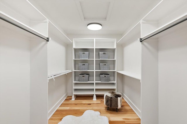 spacious closet with hardwood / wood-style flooring