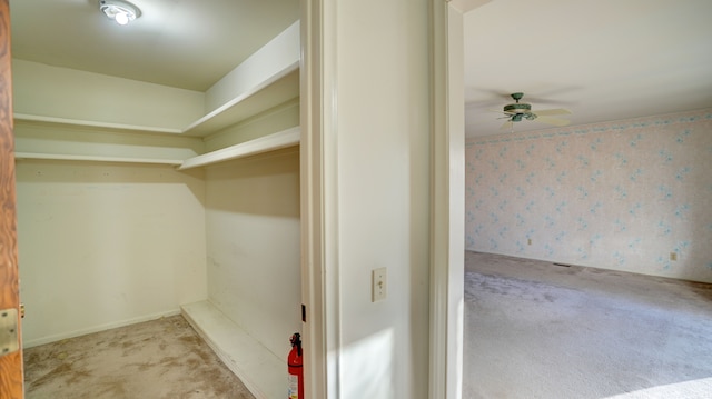 spacious closet with light carpet and ceiling fan