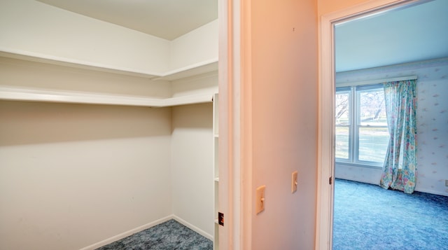 spacious closet with carpet flooring