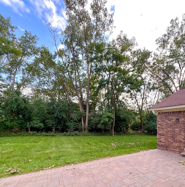 view of yard featuring a patio area