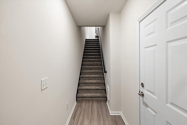 staircase with hardwood / wood-style floors