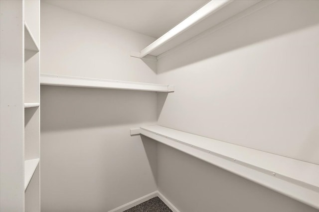 spacious closet with carpet floors