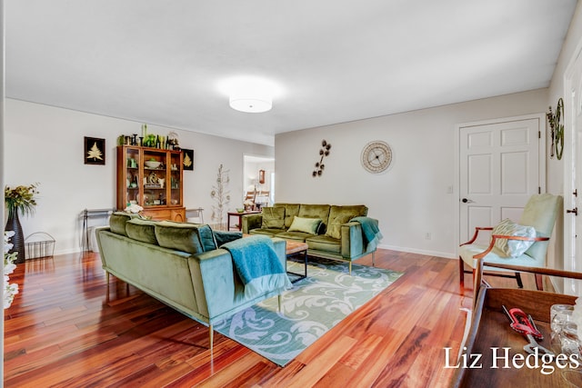 living room with wood-type flooring