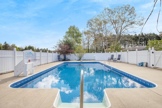 view of pool with a patio