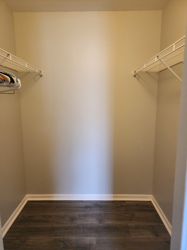 walk in closet with dark hardwood / wood-style flooring