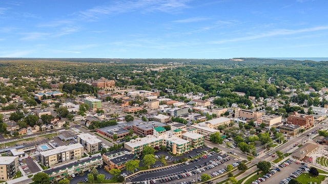 bird's eye view