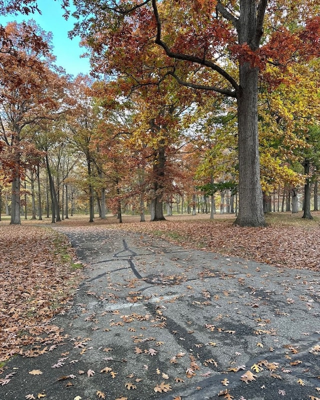 view of road