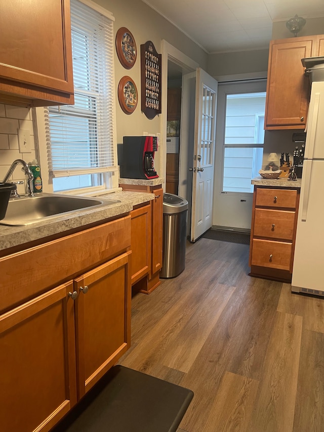 kitchen with decorative backsplash, sink, dark hardwood / wood-style floors, and white refrigerator