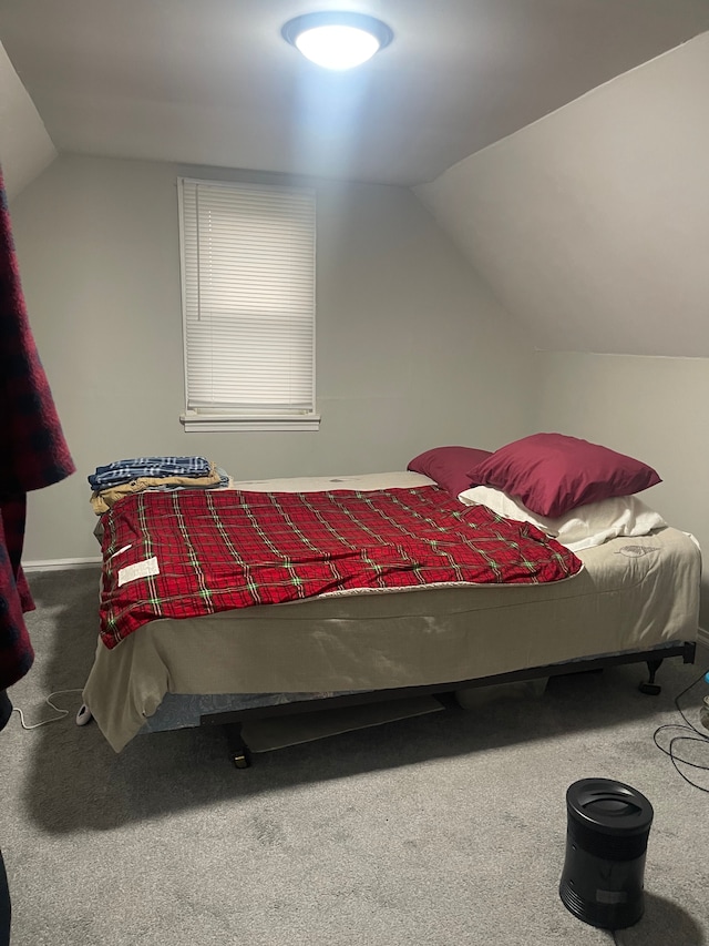 bedroom featuring carpet and vaulted ceiling