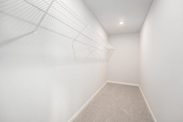 spacious closet featuring carpet