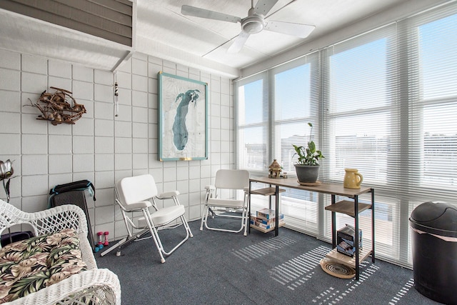 interior space featuring ceiling fan and a wealth of natural light