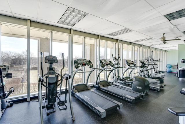 exercise room with a healthy amount of sunlight, a drop ceiling, and ceiling fan