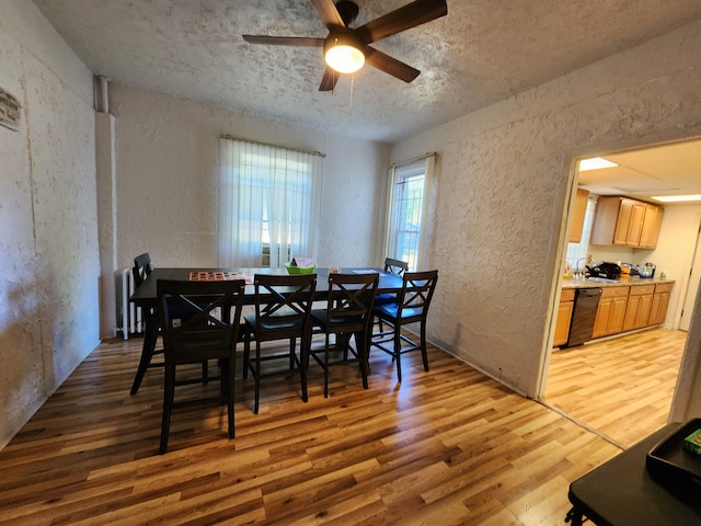 dining room featuring hardwood / wood-style flooring, ceiling fan, and a textured ceiling