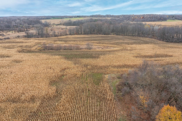 aerial view with a rural view