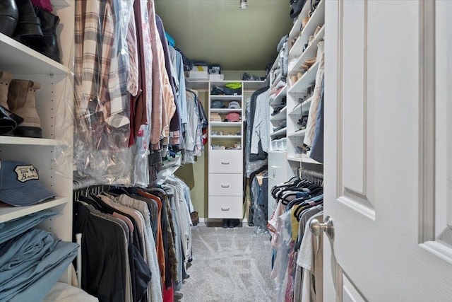 spacious closet with carpet