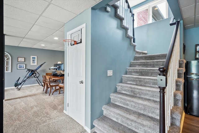 staircase with carpet floors and a drop ceiling