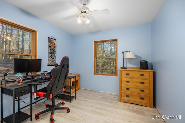 home office featuring ceiling fan and light wood-type flooring