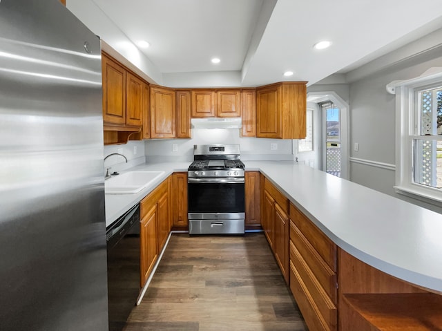 kitchen featuring kitchen peninsula, appliances with stainless steel finishes, dark hardwood / wood-style floors, and sink