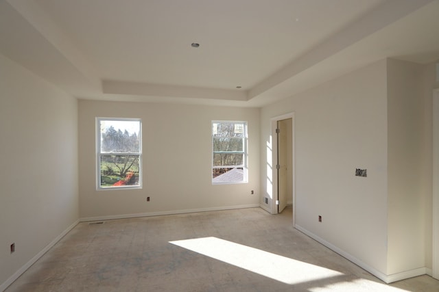 empty room featuring a tray ceiling, a wealth of natural light, and light colored carpet