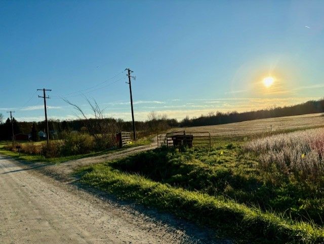 14235 Wanty Rd, Milan MI, 48160 land for sale