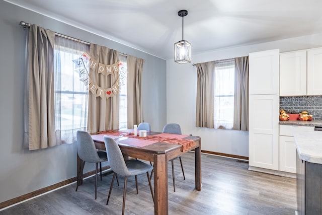 dining area featuring a wealth of natural light and dark hardwood / wood-style floors