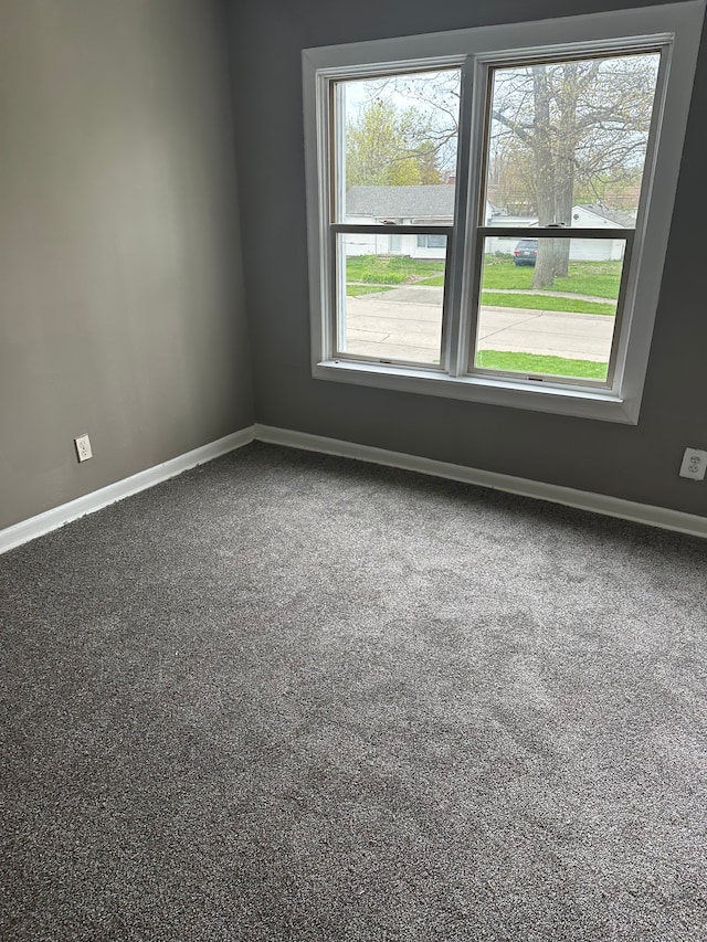 spare room with carpet