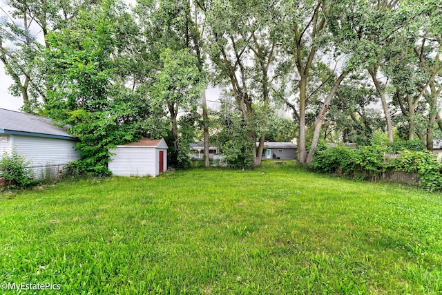 view of yard with a shed