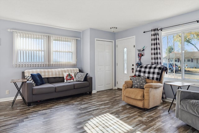 living room with dark hardwood / wood-style floors