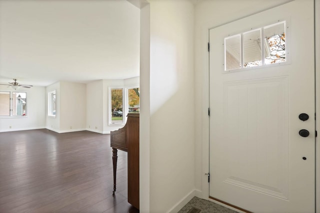 foyer featuring a wealth of natural light, ceiling fan, and dark wood-type flooring