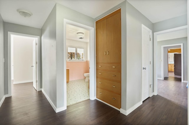 hall with dark hardwood / wood-style flooring