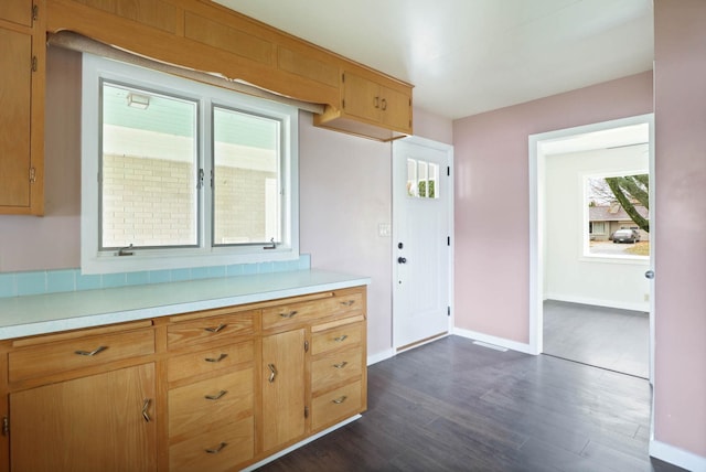 kitchen with dark wood-type flooring