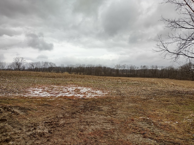 view of nature featuring a rural view