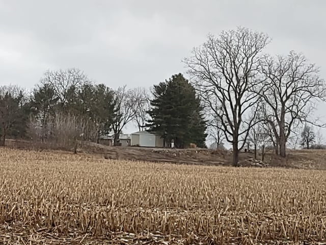 view of yard with a rural view