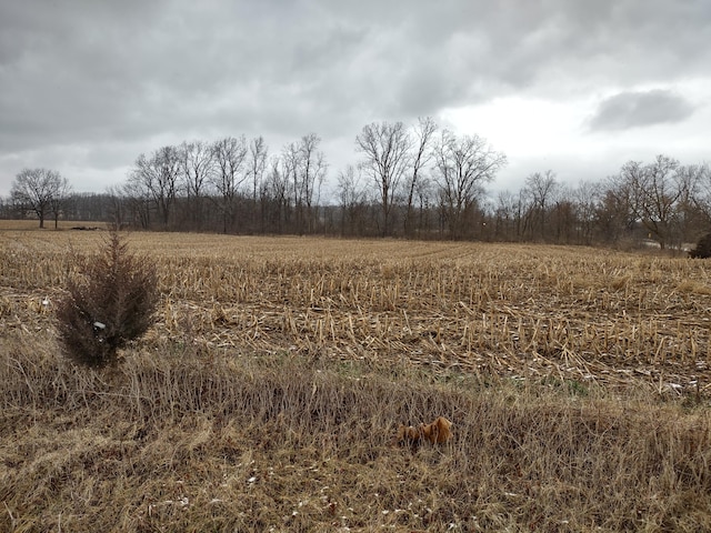 view of landscape with a rural view