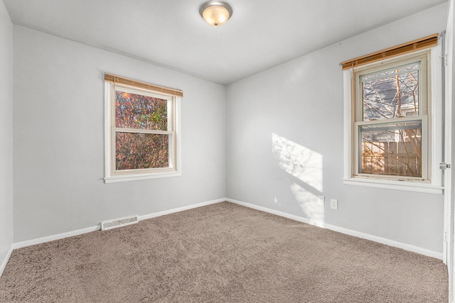 carpeted spare room featuring a wealth of natural light