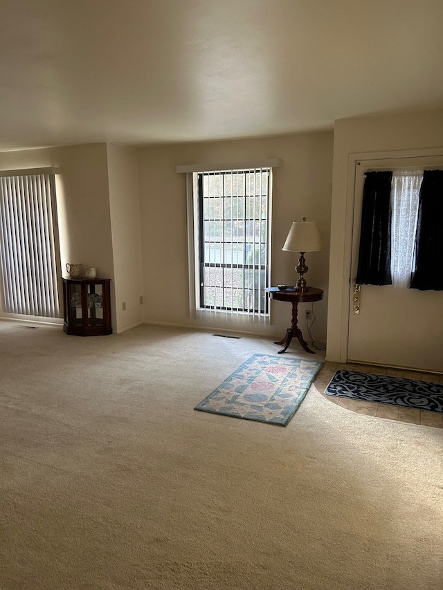 foyer entrance with carpet flooring