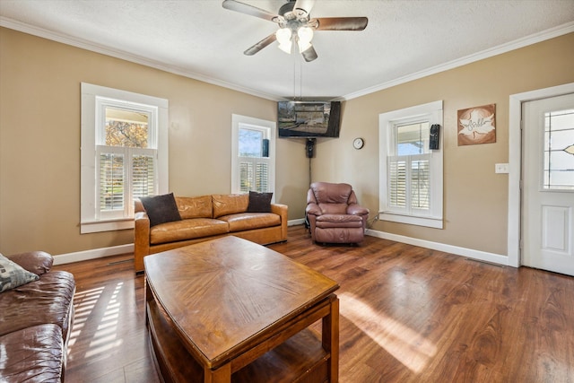 living room featuring wood-type flooring, a textured ceiling, ceiling fan, and crown molding