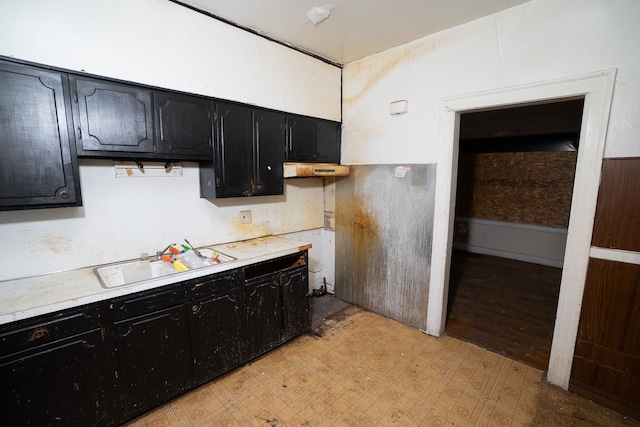 kitchen featuring light wood-type flooring and sink